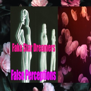 Fake Star Dreamers