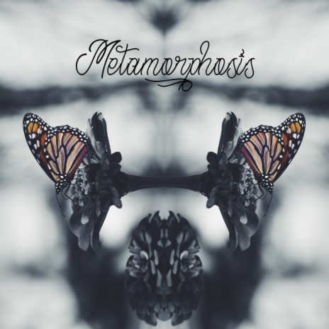 Metamorphosis | Boomplay Music