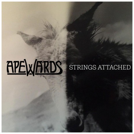 Strings Attached | Boomplay Music