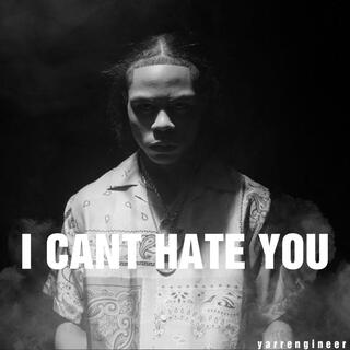 I Can't Hate You