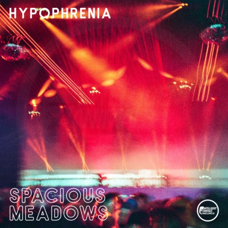 Spacious Meadows | Boomplay Music