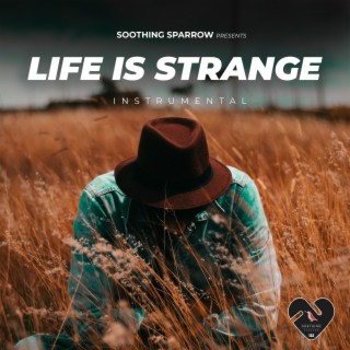Life Is Strange (Instrumental)