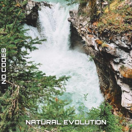 Natural Evolution | Boomplay Music