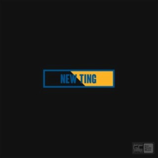 New Ting (feat. Warren-D)