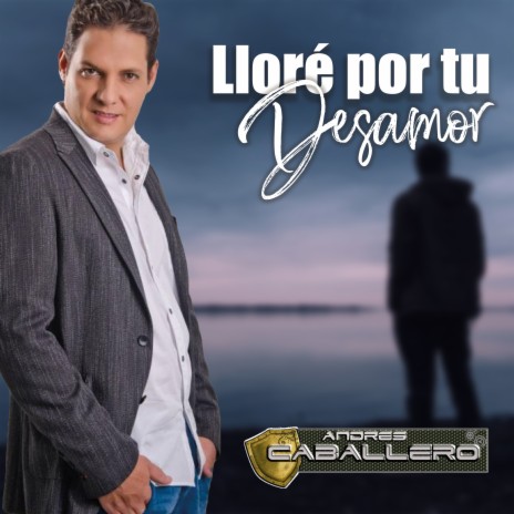 Llore por tu Desamor | Boomplay Music