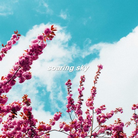 Soaring Sky ft. bearbare | Boomplay Music