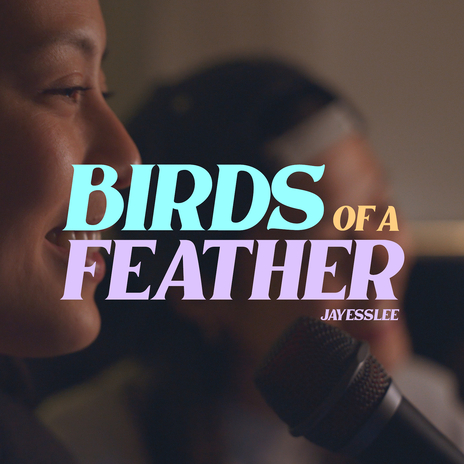 Birds of a Feather | Boomplay Music