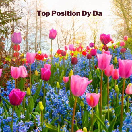 Top Position Dy Da ft. Mohsin Khattak & Khan302 | Boomplay Music