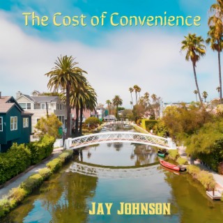 The Cost of Convenience