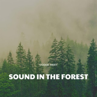 Sound In The Forest