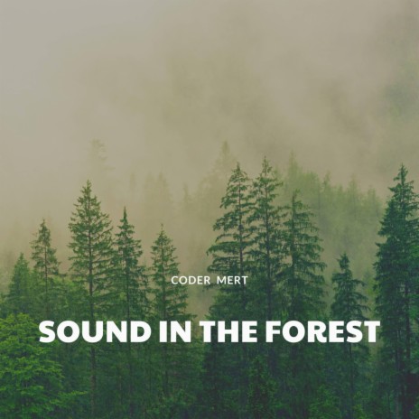 Sound In The Forest | Boomplay Music