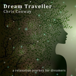 Dream Traveller