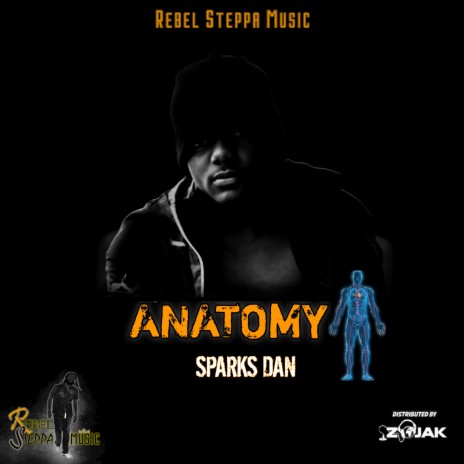 Anatomy | Boomplay Music