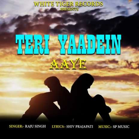 Teri Yaadein Aaye | Boomplay Music