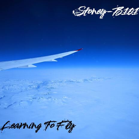 Learning To Fly | Boomplay Music