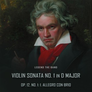 Violin Sonata No. 1 in D Major, Op. 12, No. 1: 1. Allegro con brio (Violin Version)