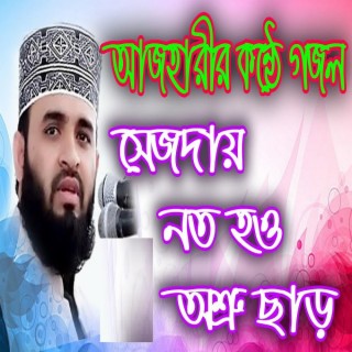 সেজদায় নত হও অশ্রু ছাড়ো মিজানুর রহমান আজহারী গজল