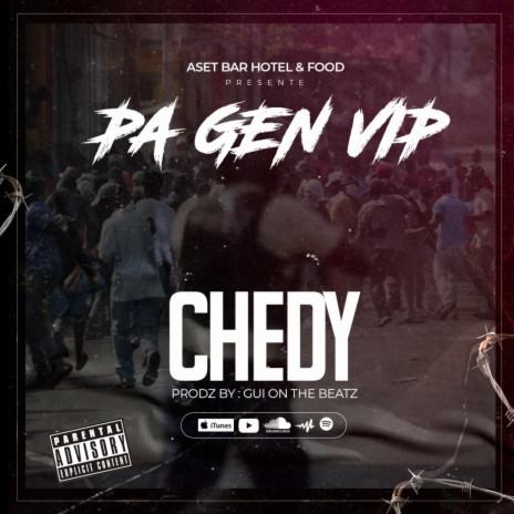 PAGEN VIP | Boomplay Music