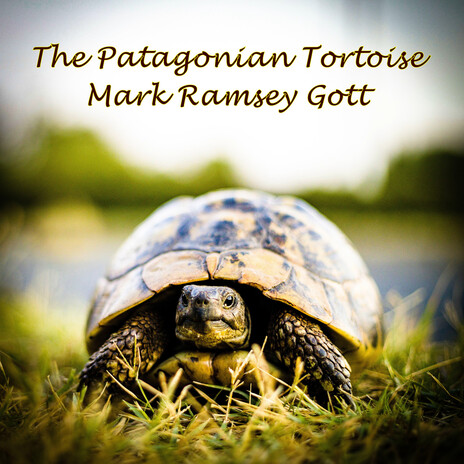 The Patagonian Tortoise | Boomplay Music
