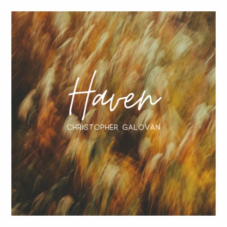 Haven | Boomplay Music