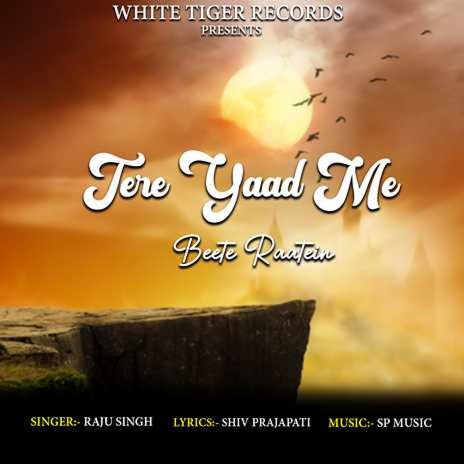 Tere Yaad Me Beete Raatein | Boomplay Music