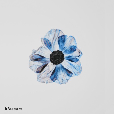 Blossom ft. bearbare | Boomplay Music