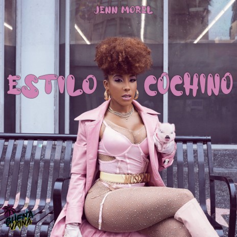 Estilo Cochino | Boomplay Music