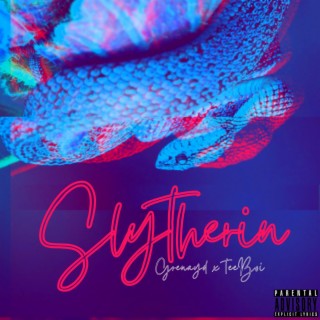 Slytherin ft. TeeBoi lyrics | Boomplay Music