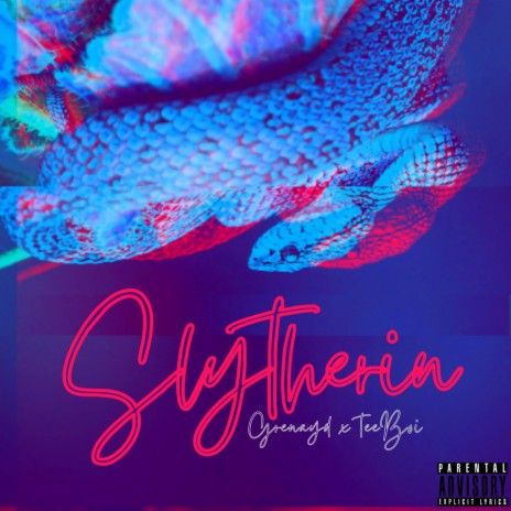 Slytherin ft. TeeBoi | Boomplay Music