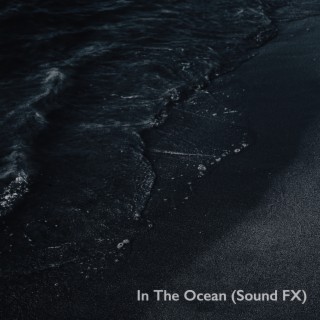 In The Ocean (Sound FX)