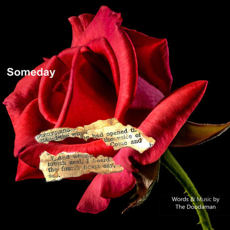 Someday | Boomplay Music