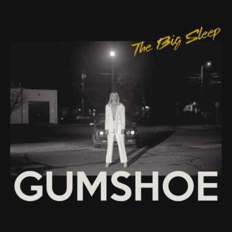 The Big Sleep | Boomplay Music