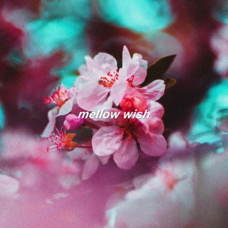 Mellow Wish ft. IWL | Boomplay Music