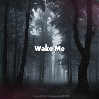 Wake Me