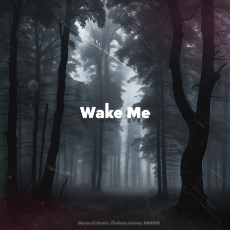 Wake Me ft. Thelema society & DR4V1X | Boomplay Music