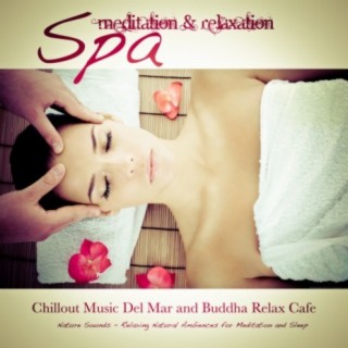 Spa: Meditation & Relaxation (Relaxing Natural Ambiences for Meditation and Sleep) Chillout Music Del Mar and Buddha Relax Cafe