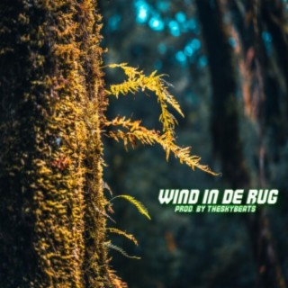 Wind in de rug