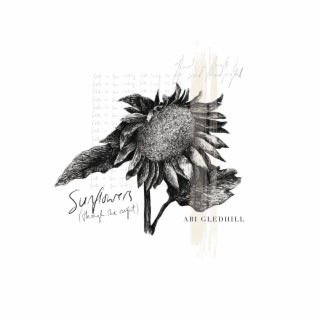 Sunflowers (Through The Night)