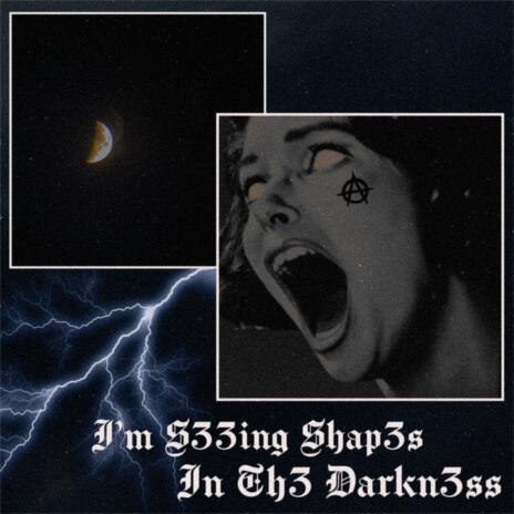 I'm S33ing Shap3s In Th3 Darkn3ss (instrumental)