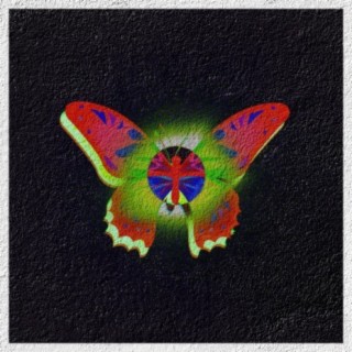 Ugly Butterflies lyrics | Boomplay Music