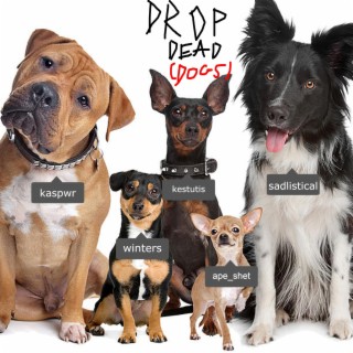 drop dead (dogs!)