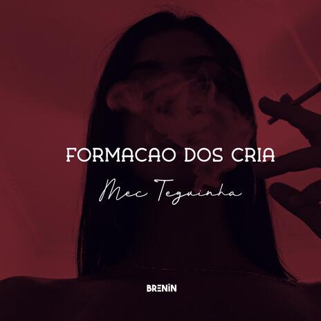 FORMAÇÃO DOS CRIA, MEC TEGUINHA ft. Mc KF & Mc Neguinho do ITR | Boomplay Music