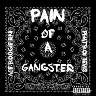 PAIN OF A GANGSTER