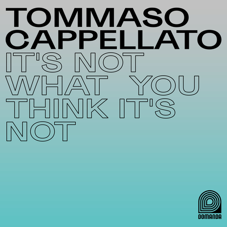 It's Not What You Think It's Not | Boomplay Music