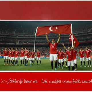 Türkiye futbol takımını destekliyorum