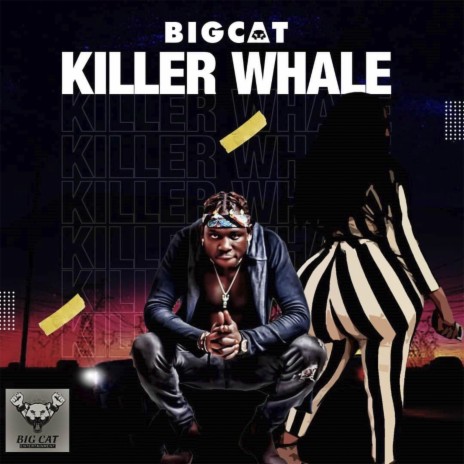 Killer Whale | Boomplay Music
