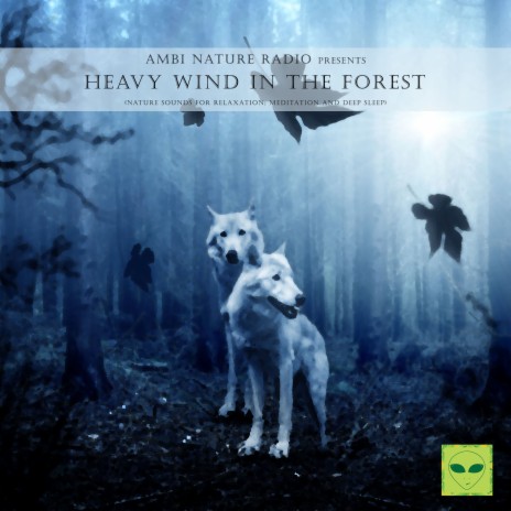 Heavy Wind in the Forest | Boomplay Music