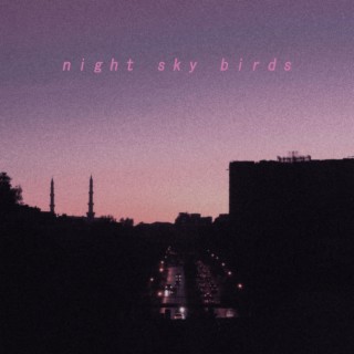 Night Sky Birds