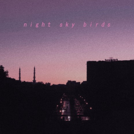 Night Sky Birds ft. bearbare | Boomplay Music