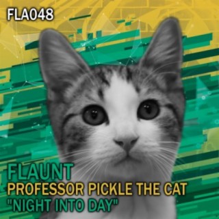 Professor Pickle The cat